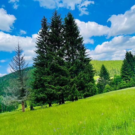 Gorska Cisza - Duzy, Komfortowy, Wyjatkowy Apartament Stronie Śląskie Buitenkant foto