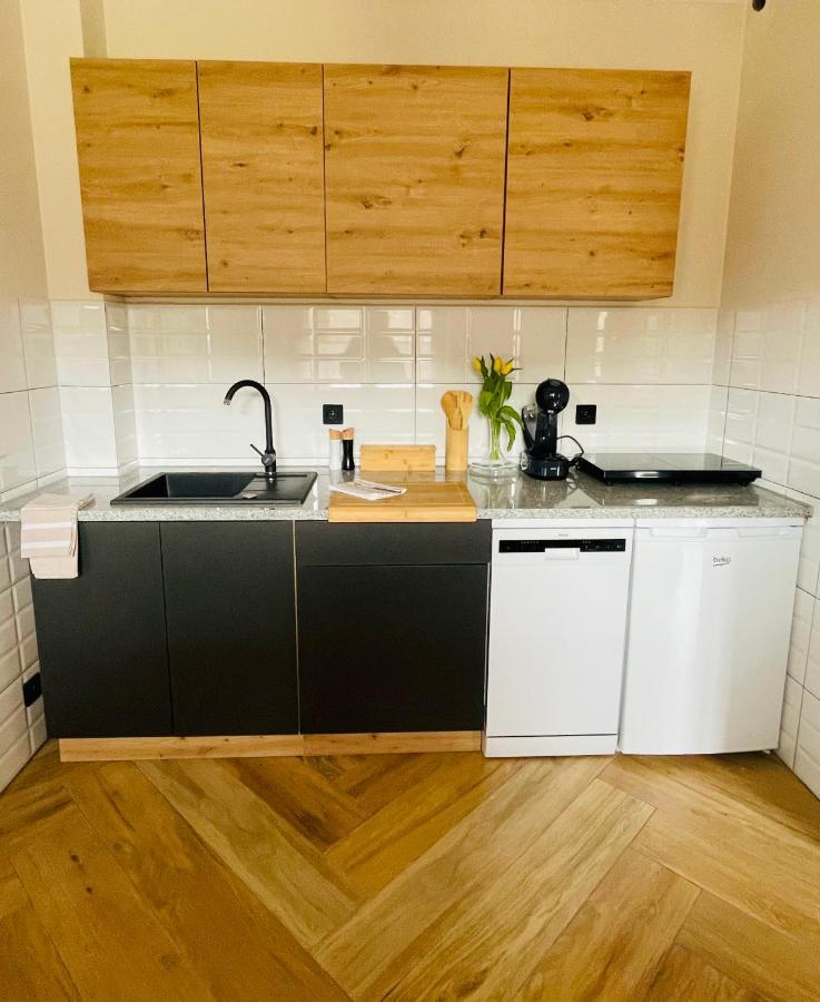 Gorska Cisza - Duzy, Komfortowy, Wyjatkowy Apartament Stronie Śląskie Buitenkant foto