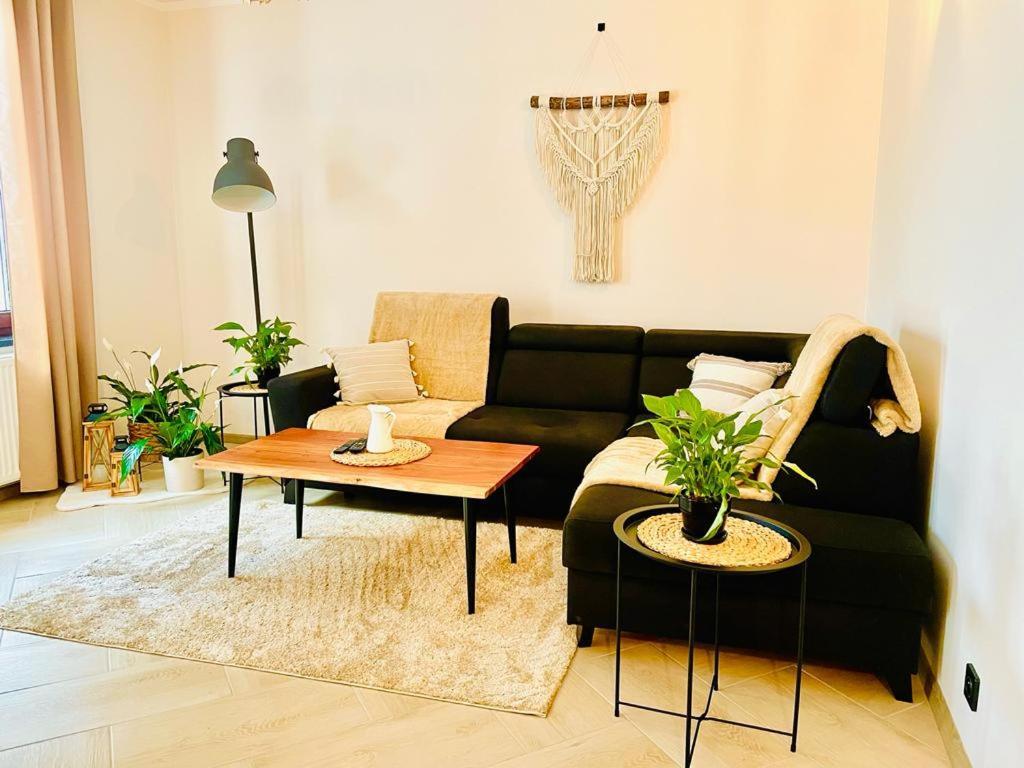 Gorska Cisza - Duzy, Komfortowy, Wyjatkowy Apartament Stronie Śląskie Buitenkant foto