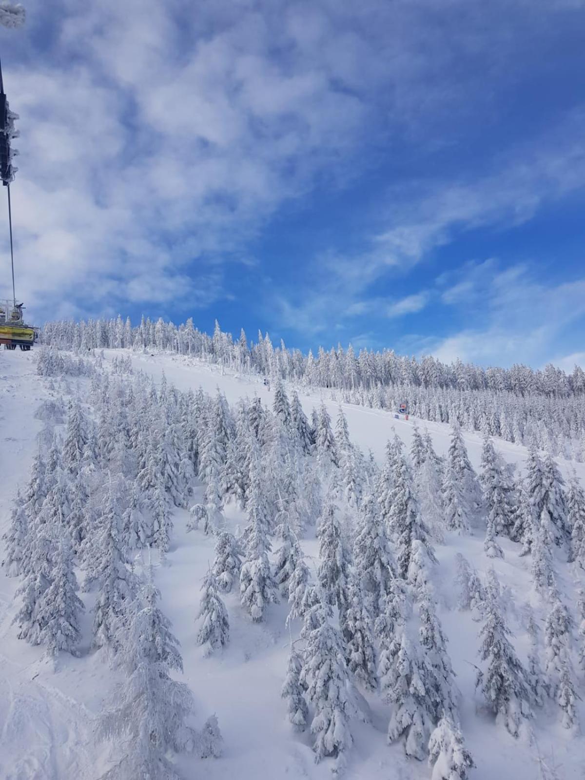 Gorska Cisza - Duzy, Komfortowy, Wyjatkowy Apartament Stronie Śląskie Buitenkant foto