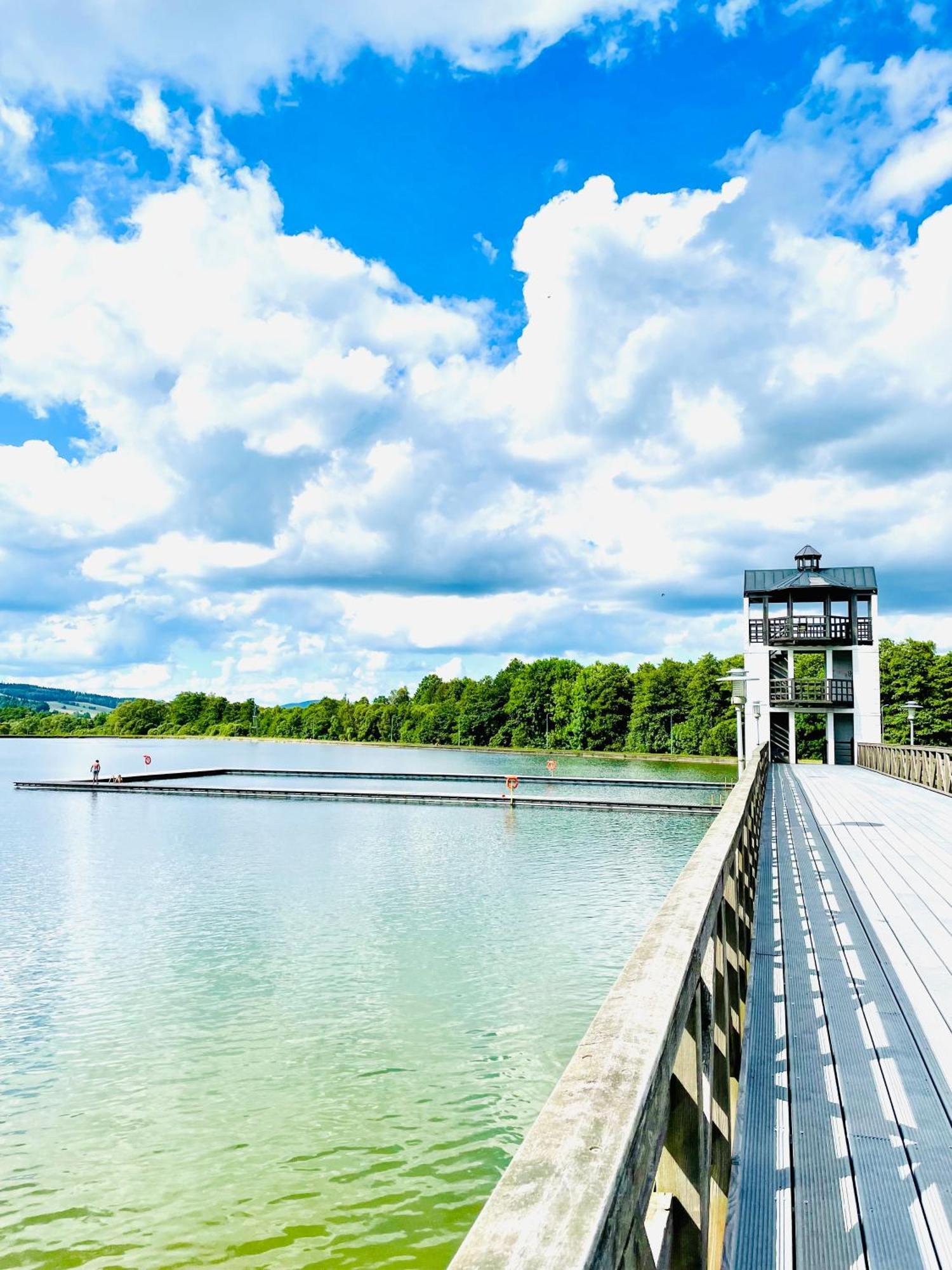 Gorska Cisza - Duzy, Komfortowy, Wyjatkowy Apartament Stronie Śląskie Buitenkant foto